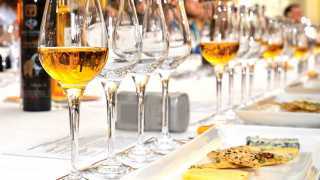 Niagara Icewine Festival