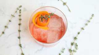 Nick Meyer's Miku Negroni