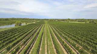 Beamsville Bench