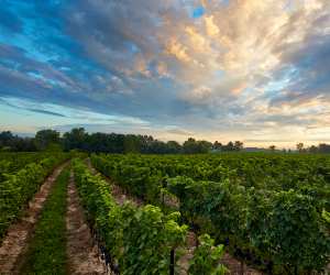 Le Clos Jordanne winery