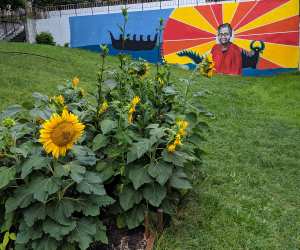 Chef Johl Whiteduck Ringuette Indigenous food sovereignty | Bickford park community garden with Pauline Shirt mural