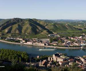 Côtes du Rhône: the undulating landscape. Photo: Christophe Grilhé