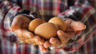 Chef Matt Basile's creamy mushrooms on toast recipe | Hands holding eggs