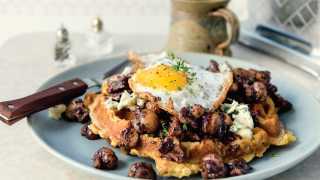 Chef Matt Basile's creamy mushrooms on toast recipe