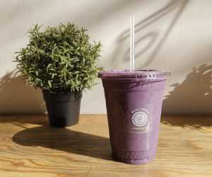 Toronto's best juice bars: Daily Press