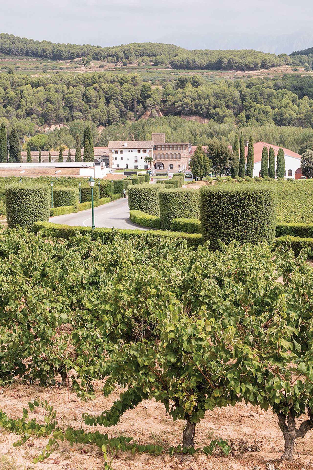 The Segura Viudas Estate in Spain