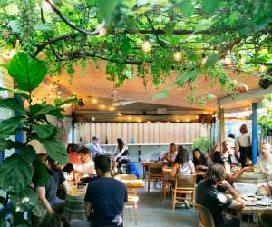 Paradise Grapevine, wine bar and bottle shop | The secret garden patio at Paradise Grapevine