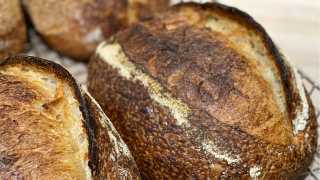 Emmer and Ash bakery on Harbord Street | Sourdough loaf