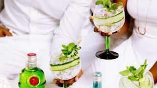 Gin cocktails and their recipes | Cucumber and mint G&T cocktail recipe