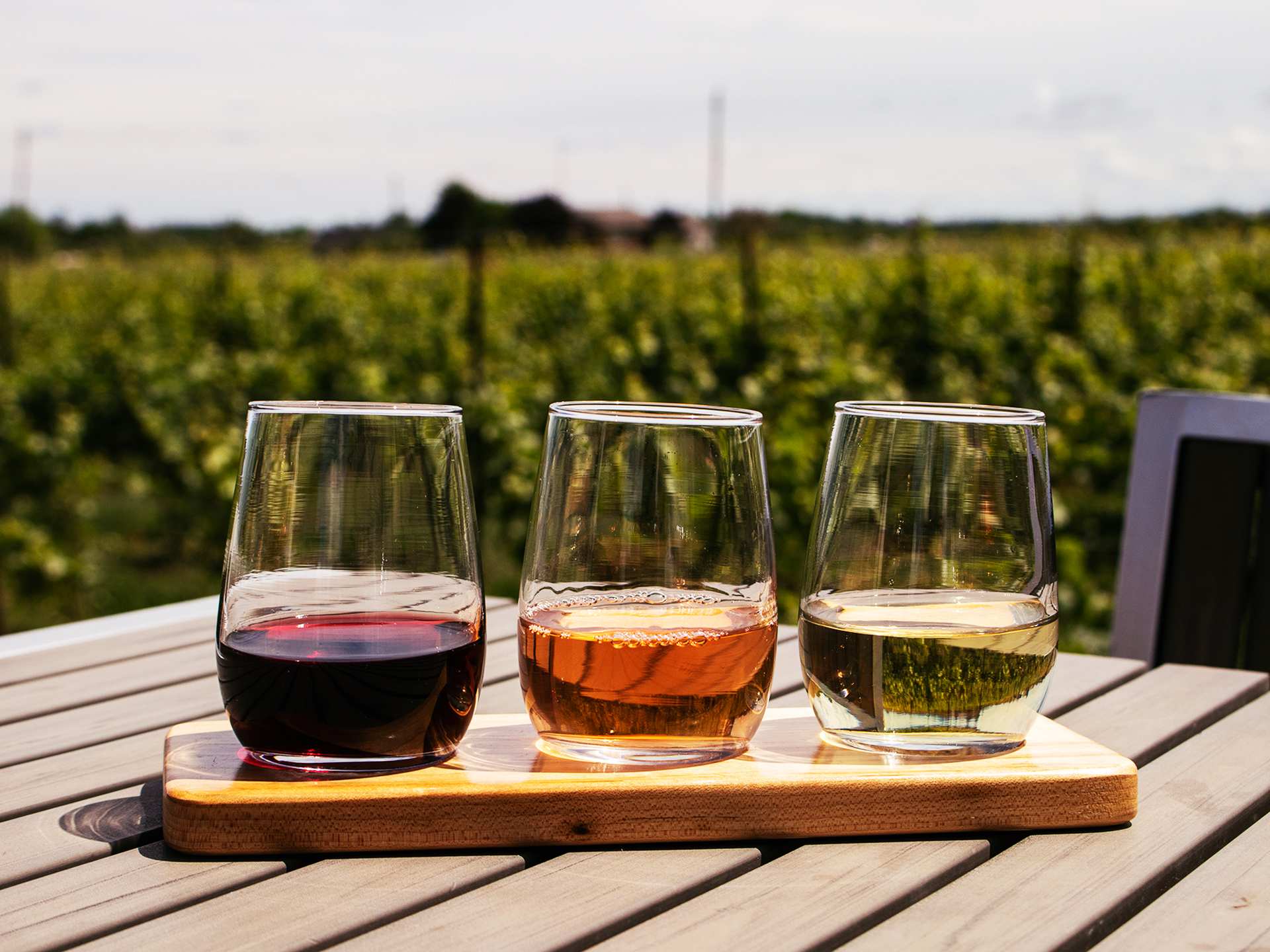 Niagara Benchlands | Wine flight at Redstone Winery