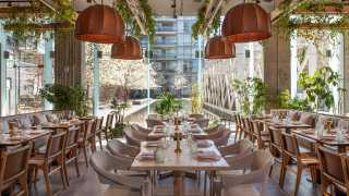 Casa Madera | Interior of Casa Madera restaurant dining room during the day