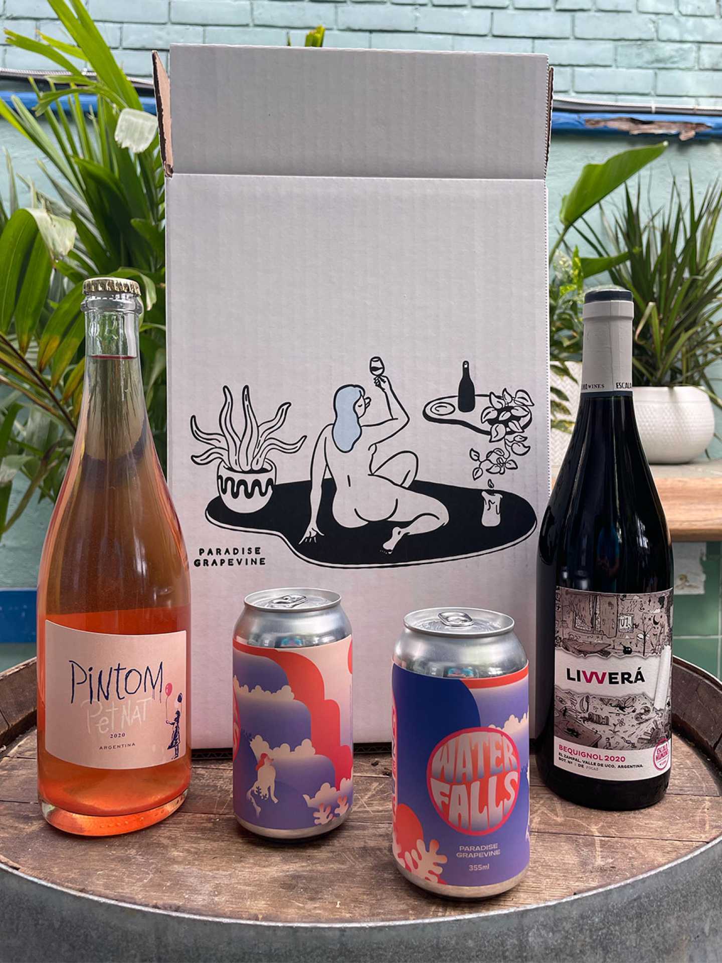 Natural wine Toronto | Wine from Paradise Grapevine's bottle shop