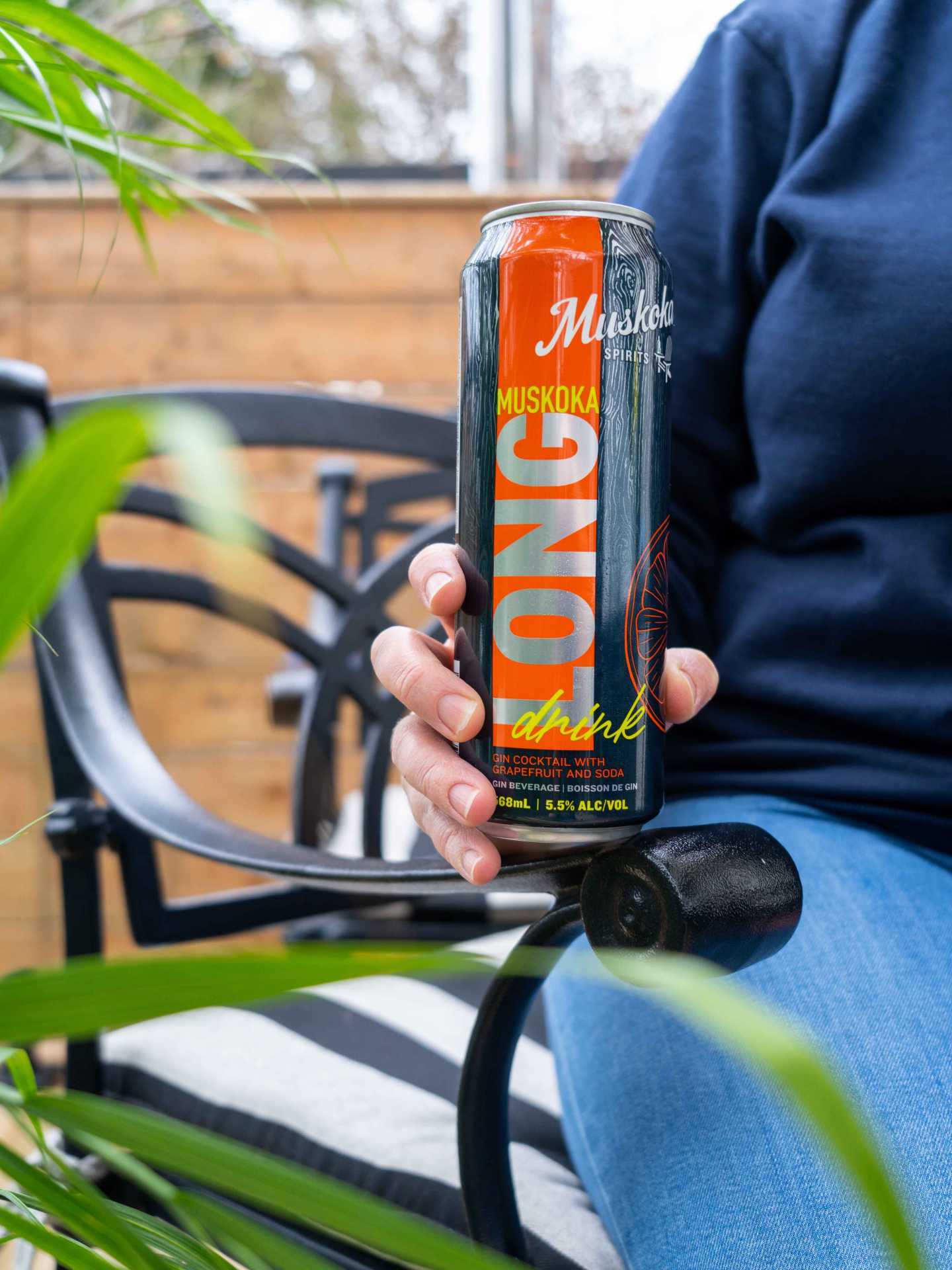 A person holding a can of The Long Drink near a house plant