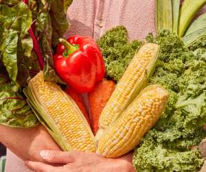 Vegan food Toronto | A person holding carrot, swiss chard and corn with their arms crossed