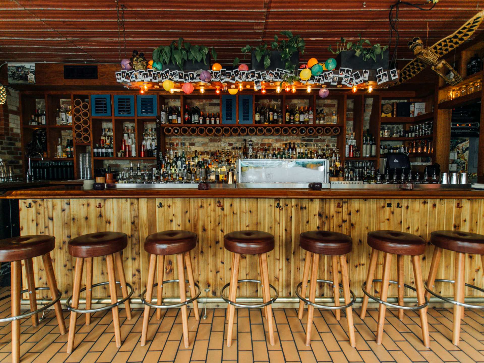 Tequila and mezcal | El Rey mezcal bar in Kensington Market